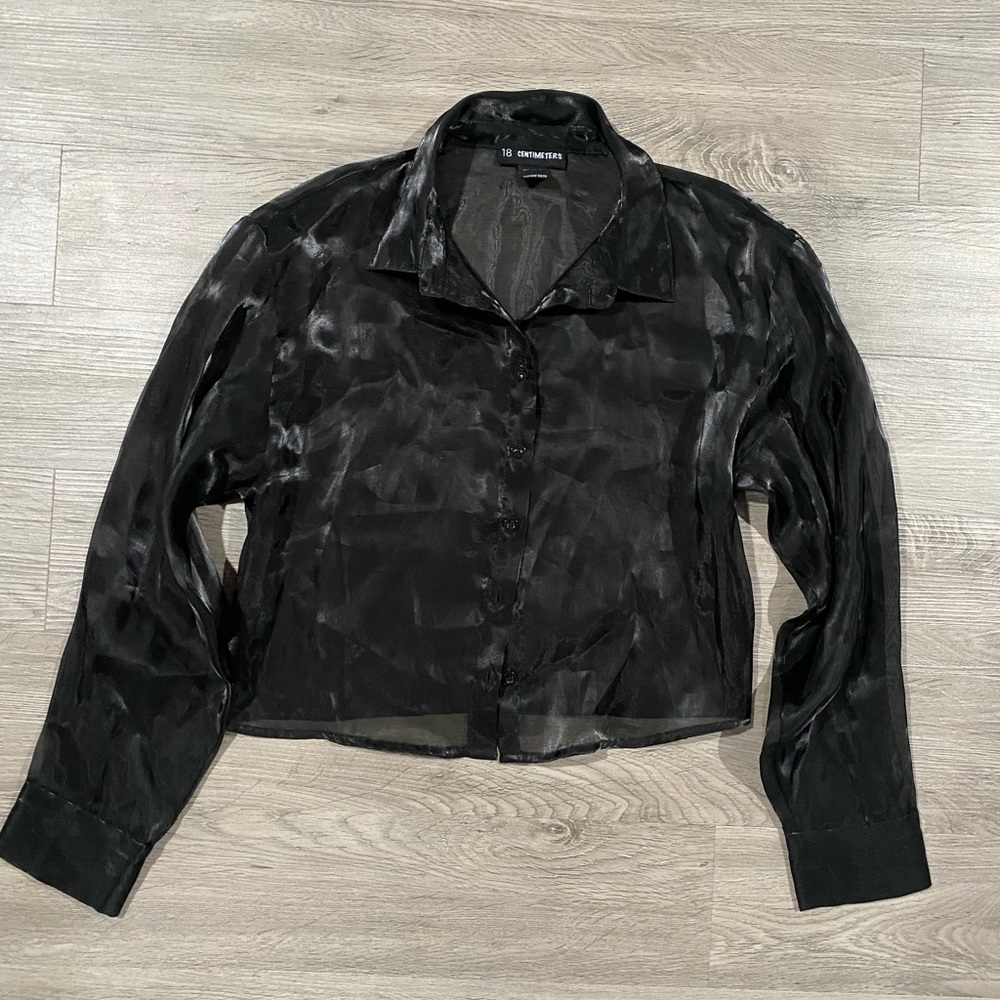 18 Centimeters Sheer Black‎ Button-Up Blouse